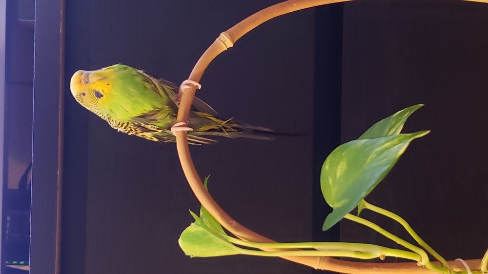 Фотография автора Al