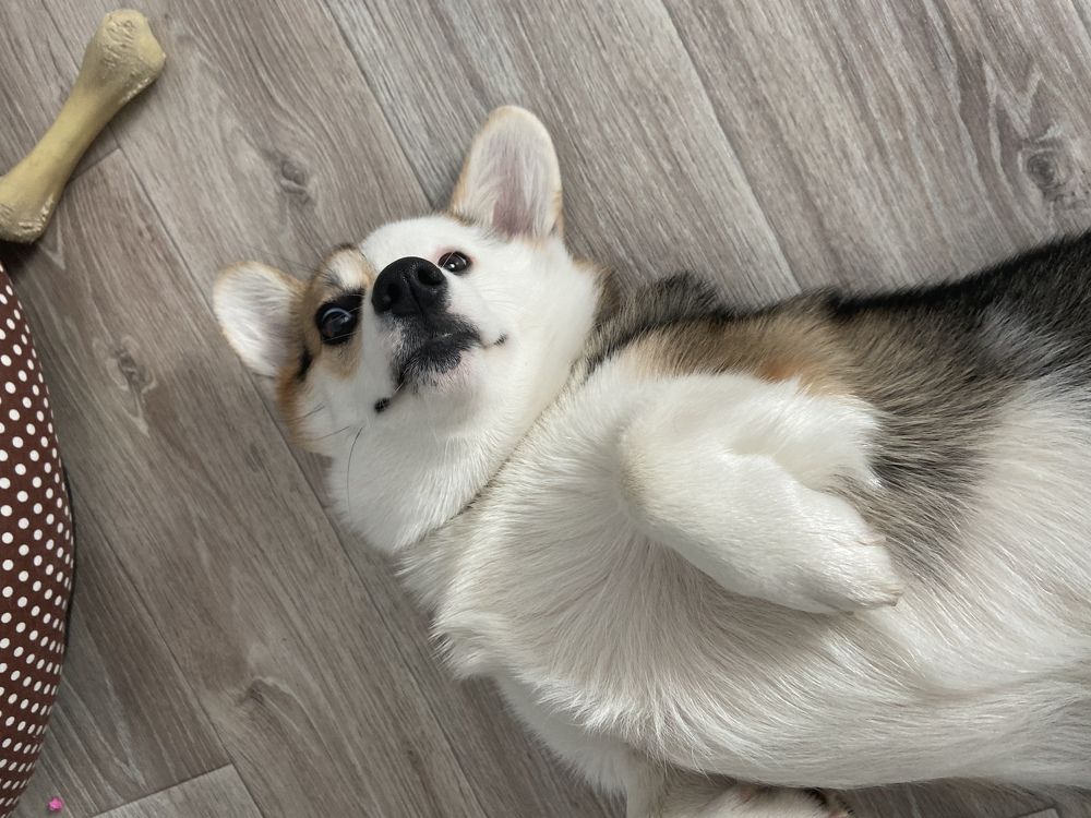 Photograph by Павел Панкратов