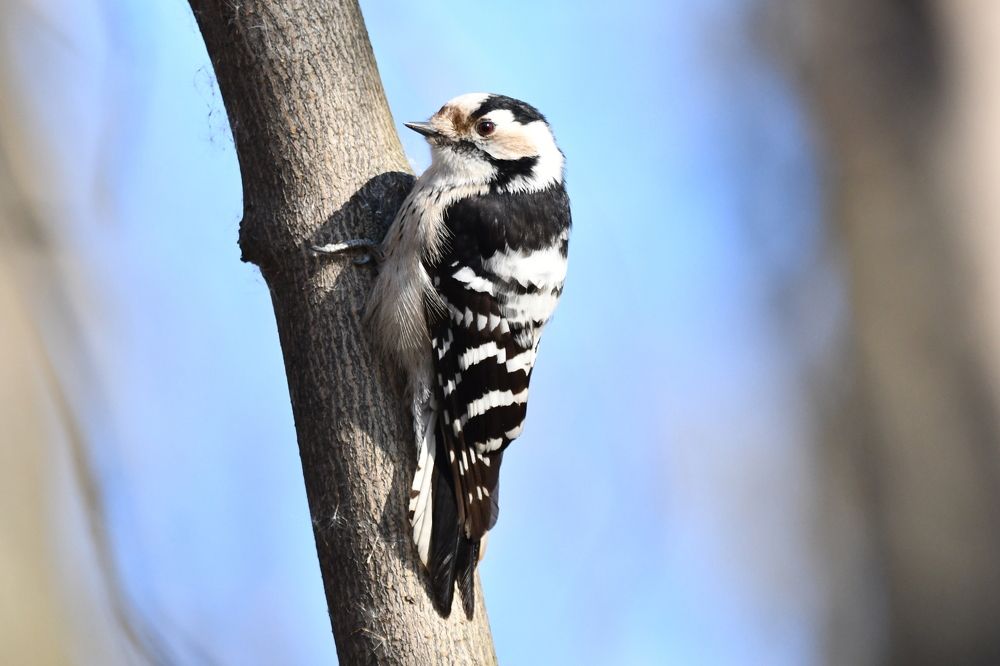 Photograph by Виталий Попов