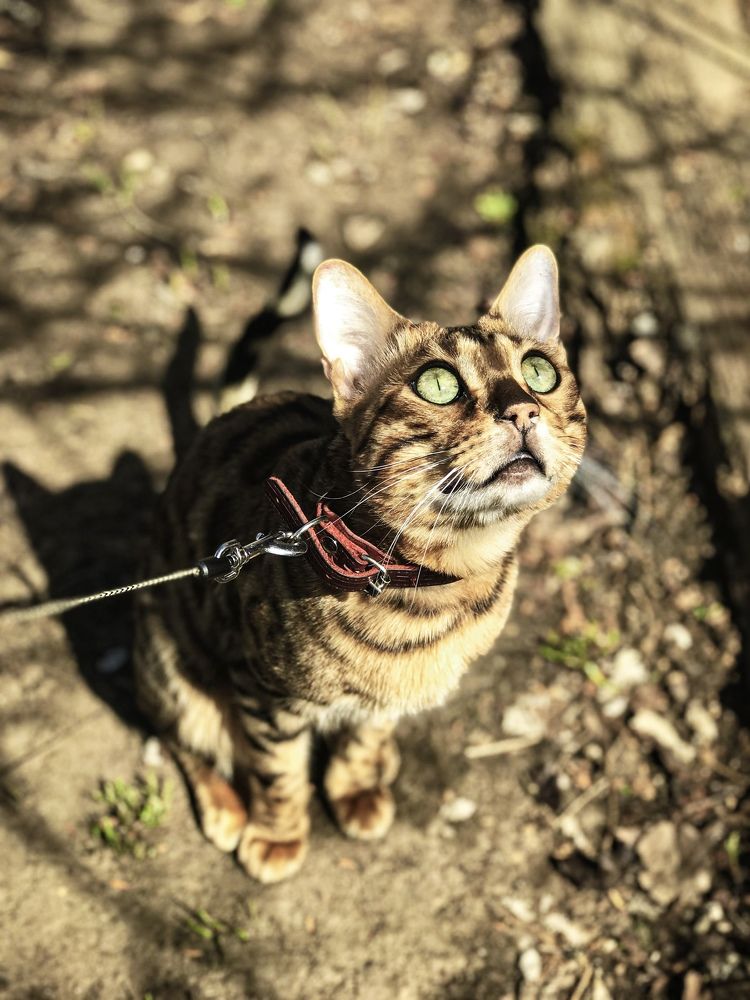 Photograph by Наталья Перерва