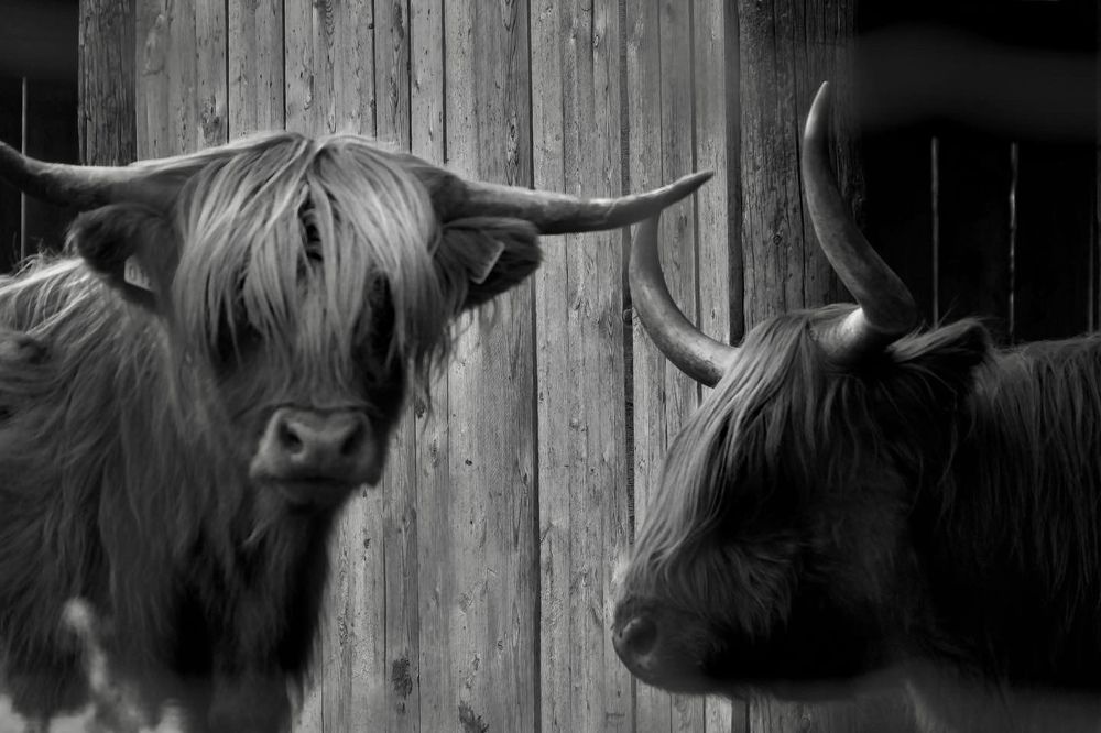 Photograph by Наталья Пирогова