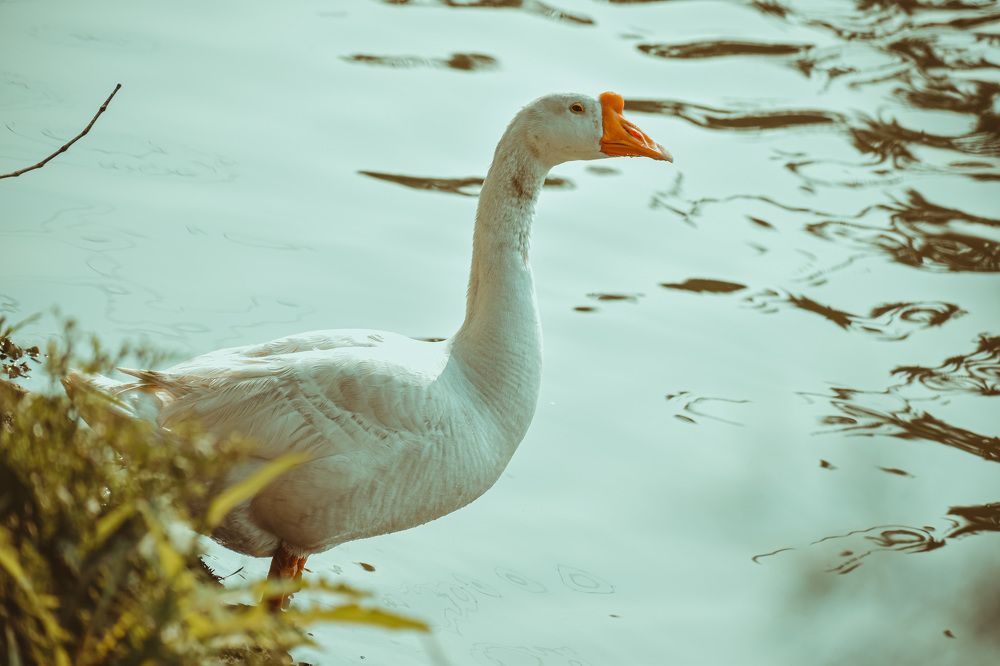 Photograph by Yukti Adhikary