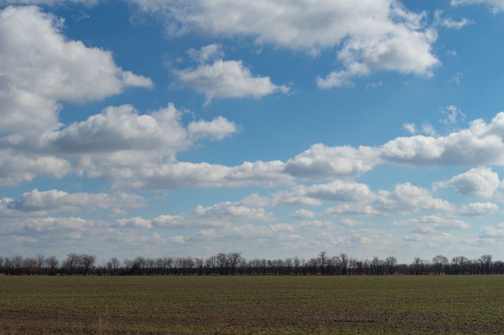 Photograph by Ариадна Подмогильная