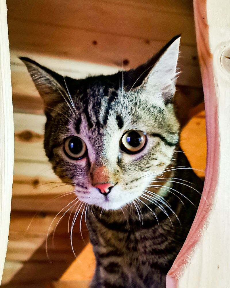 Photograph by Наталья Асоскова