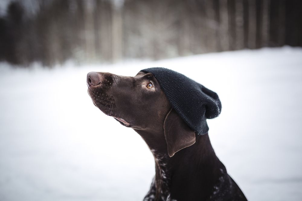 Photograph by Андрей Сериков