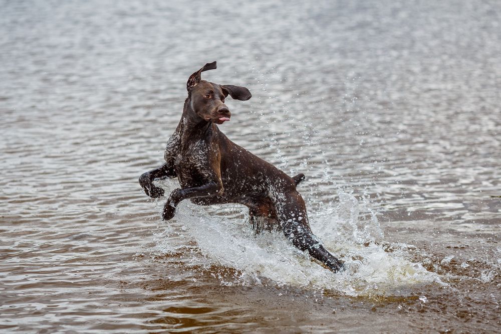 Photograph by Андрей Сериков