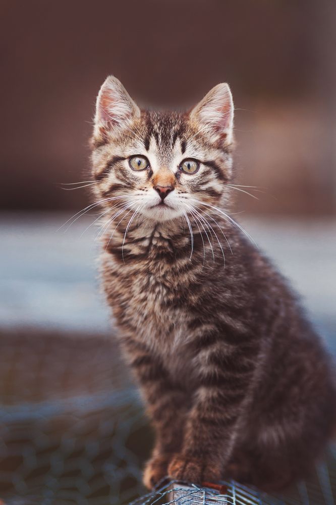 Photograph by Андрей Сериков