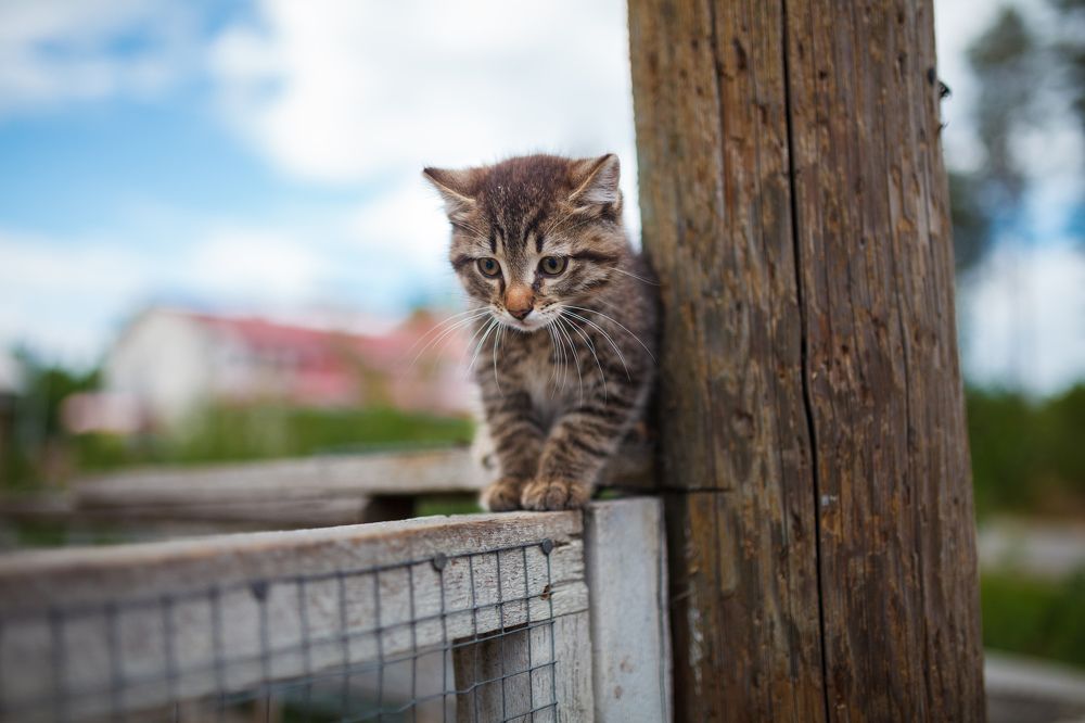 Photograph by Андрей Сериков