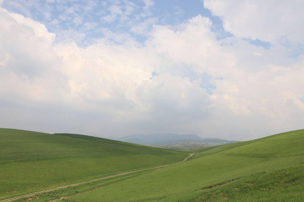 Photograph by Ekaterina