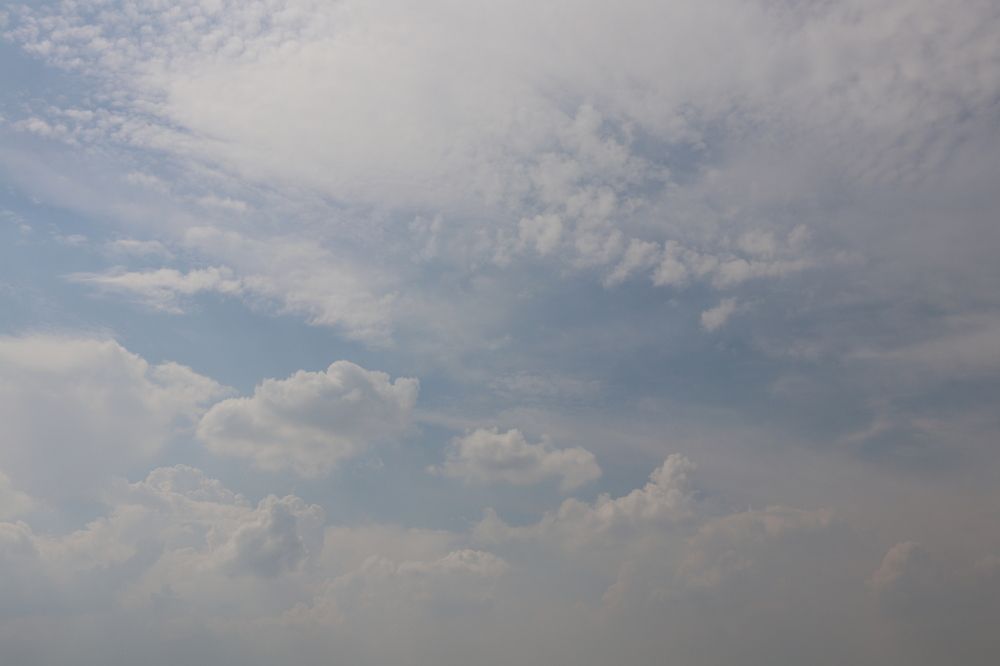 Photograph by Ekaterina