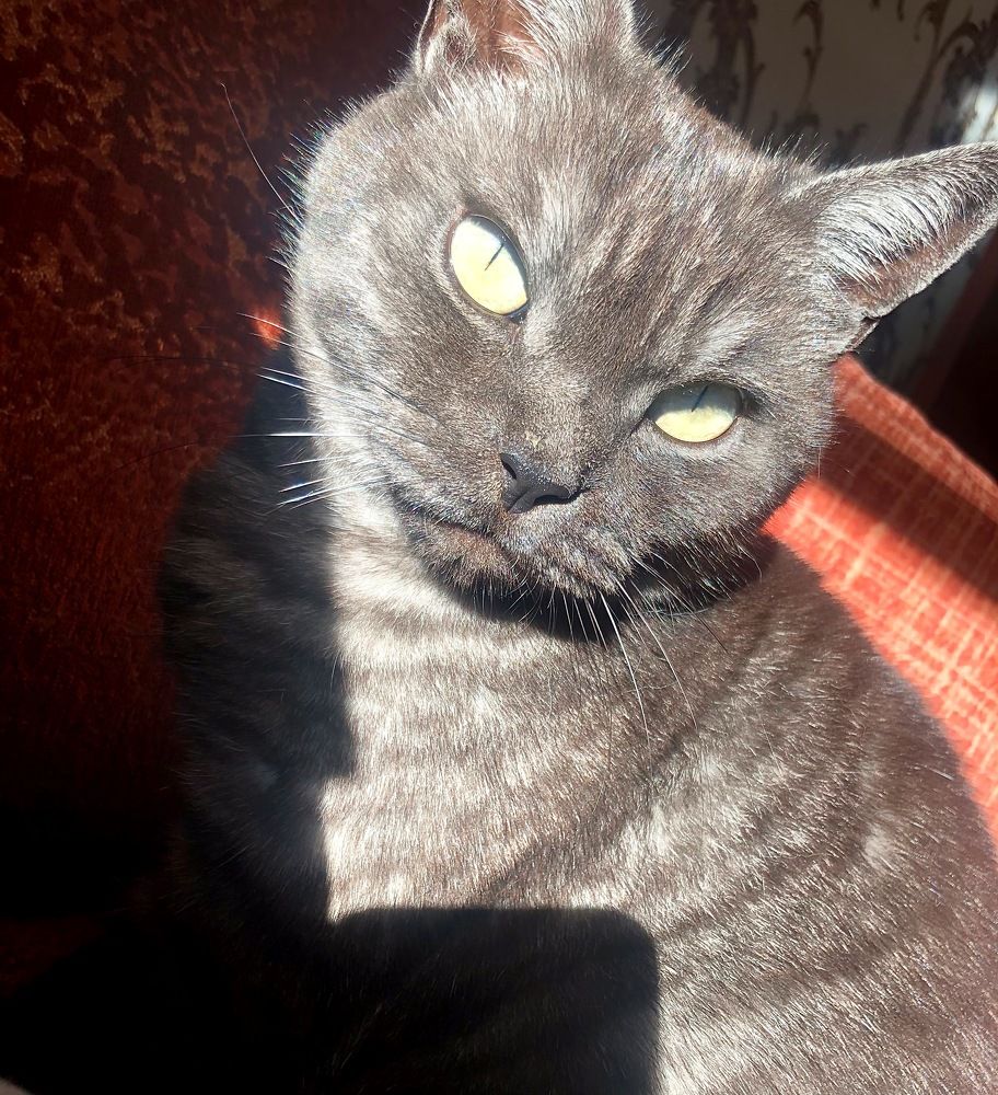 Photograph by Алина Захарова