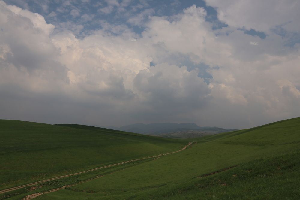 Photograph by Ekaterina