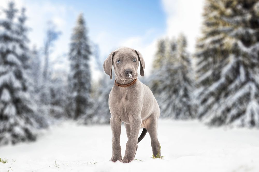 Photograph by Markus Bieck