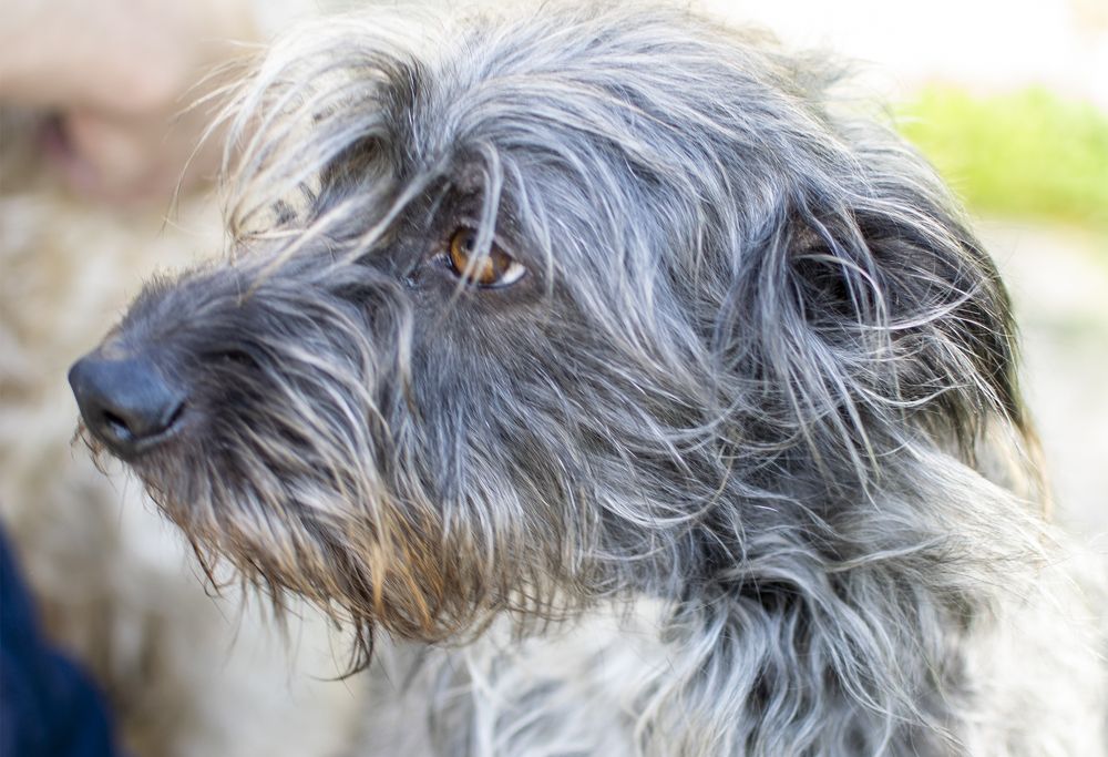 Photograph by Tatiana Zuikova