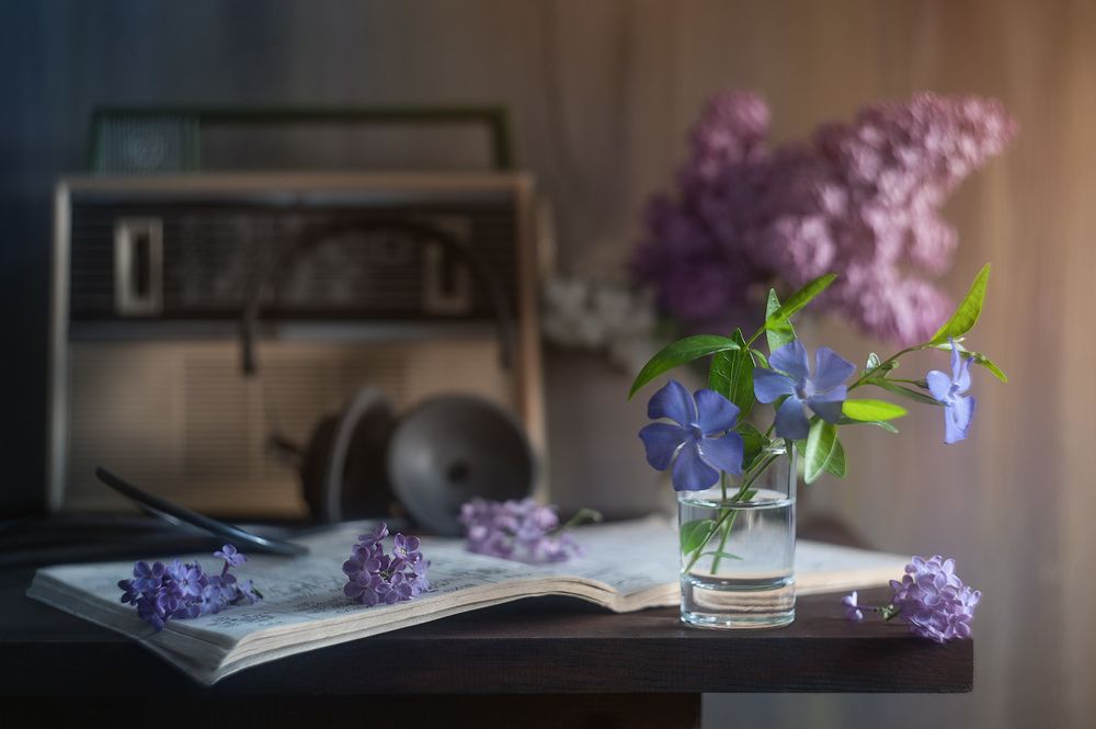 Photograph by Владимир Тузлай