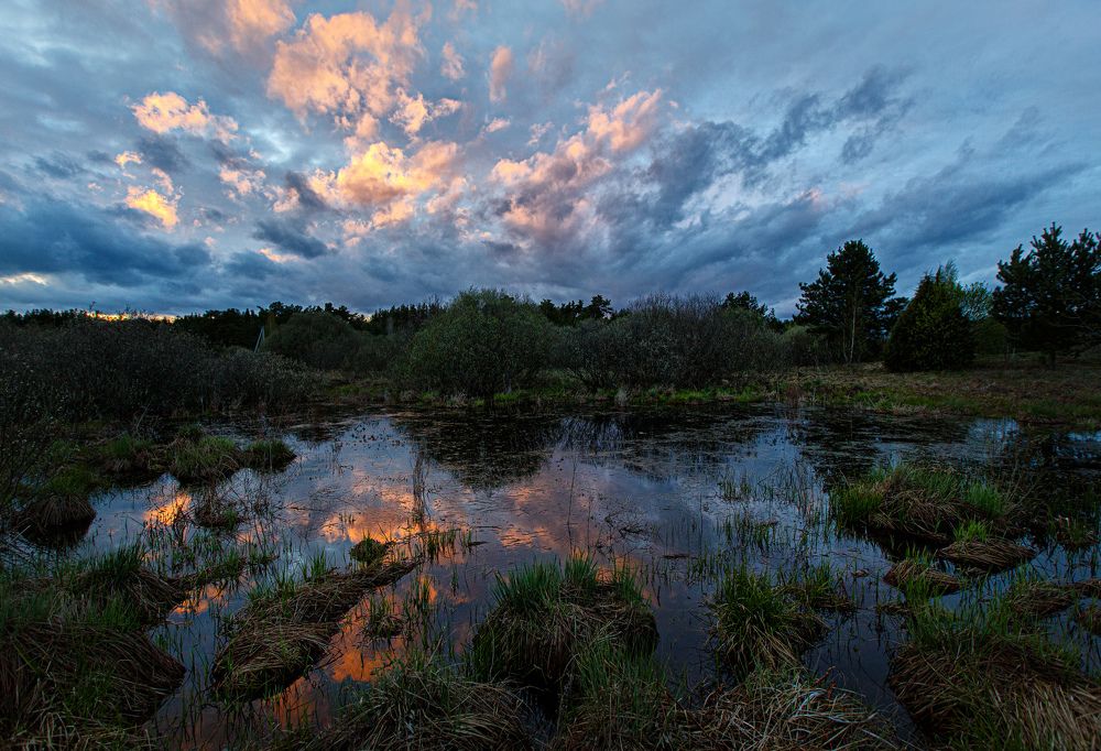 Сельцы. За околицей
