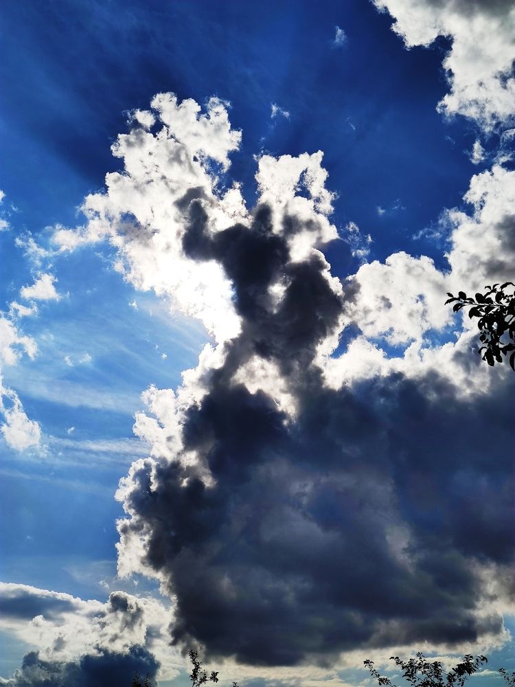 Photograph by Инна Макарчук