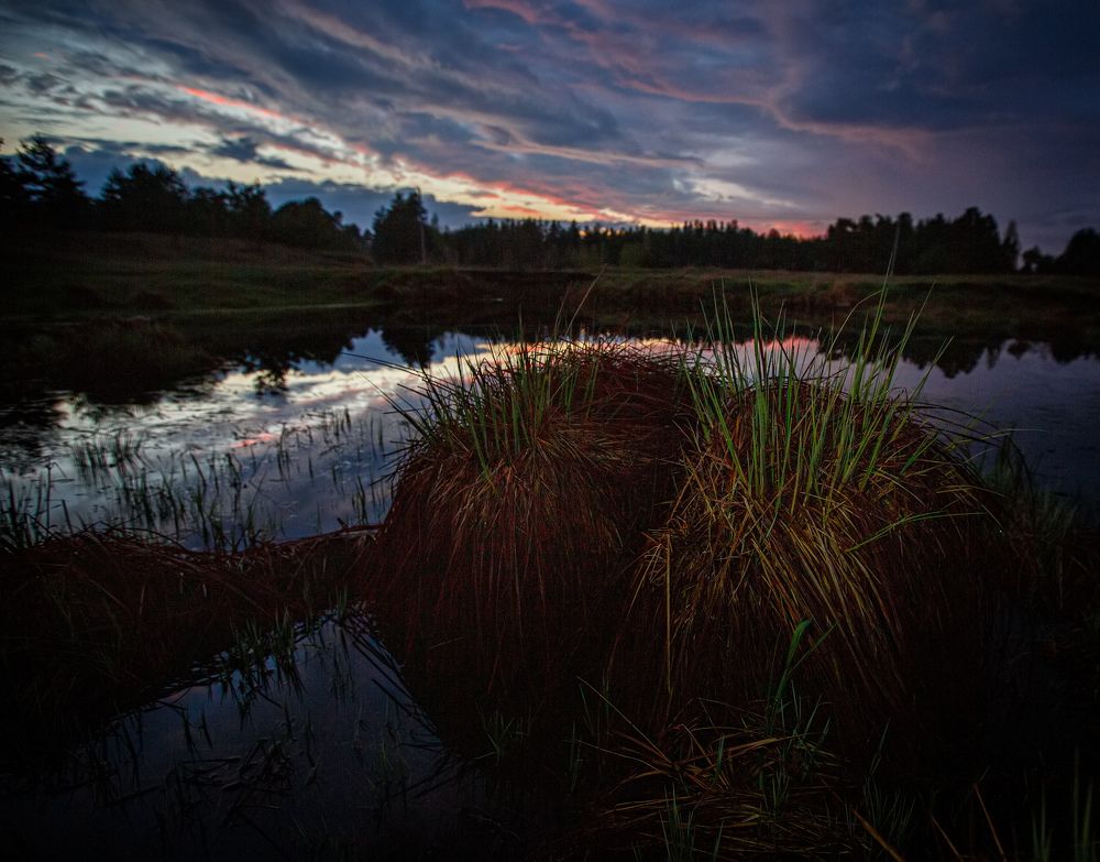 Сельцы, озерцо Овин
