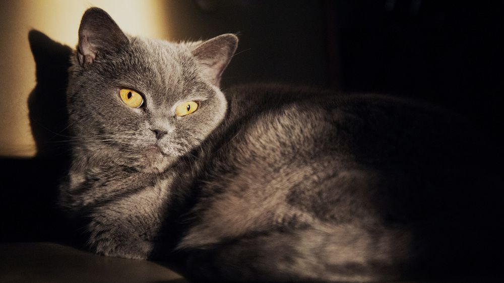 Photograph by Юрий Ткачев