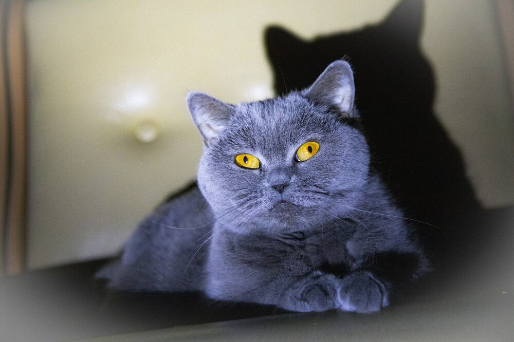 Photograph by Юрий Ткачев