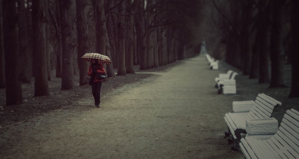 Photograph by Роман Самаркий