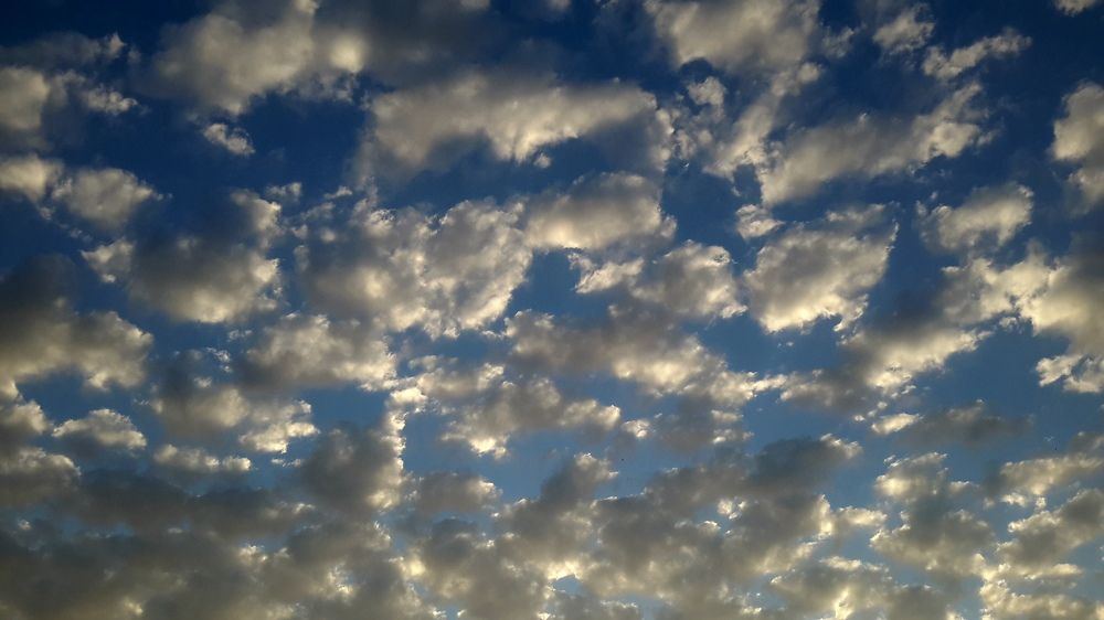 Photo #6071248