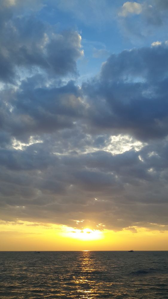 Photo #6071249