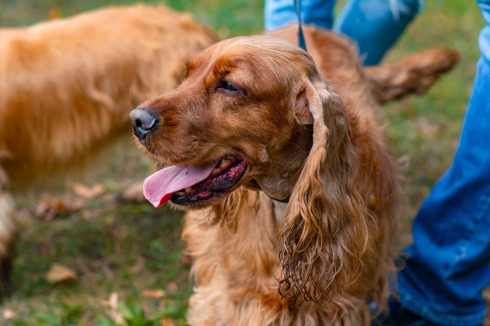 Photograph by Виолетта Юдина