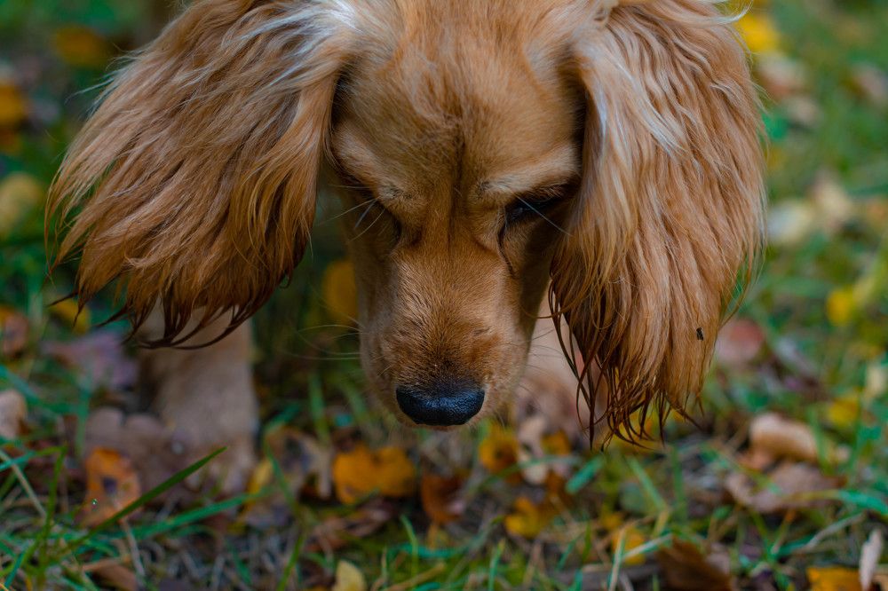 Photograph by Виолетта Юдина