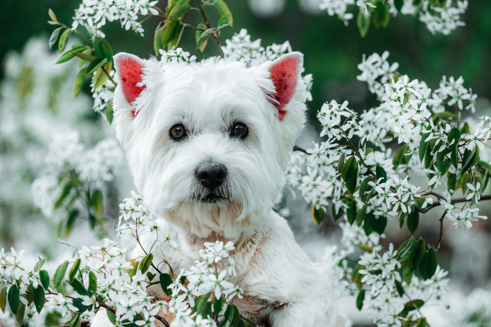 Photograph by Яна Толмачёва