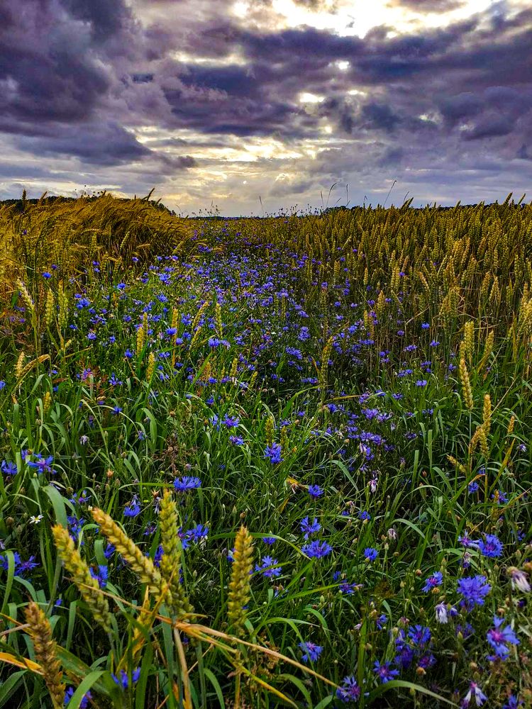 Photograph by Iljana Luksa