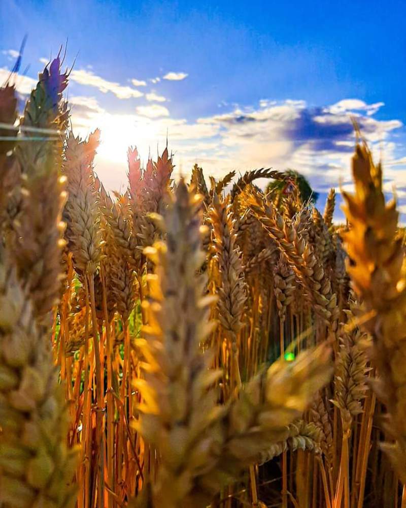 Photograph by Iljana Luksa