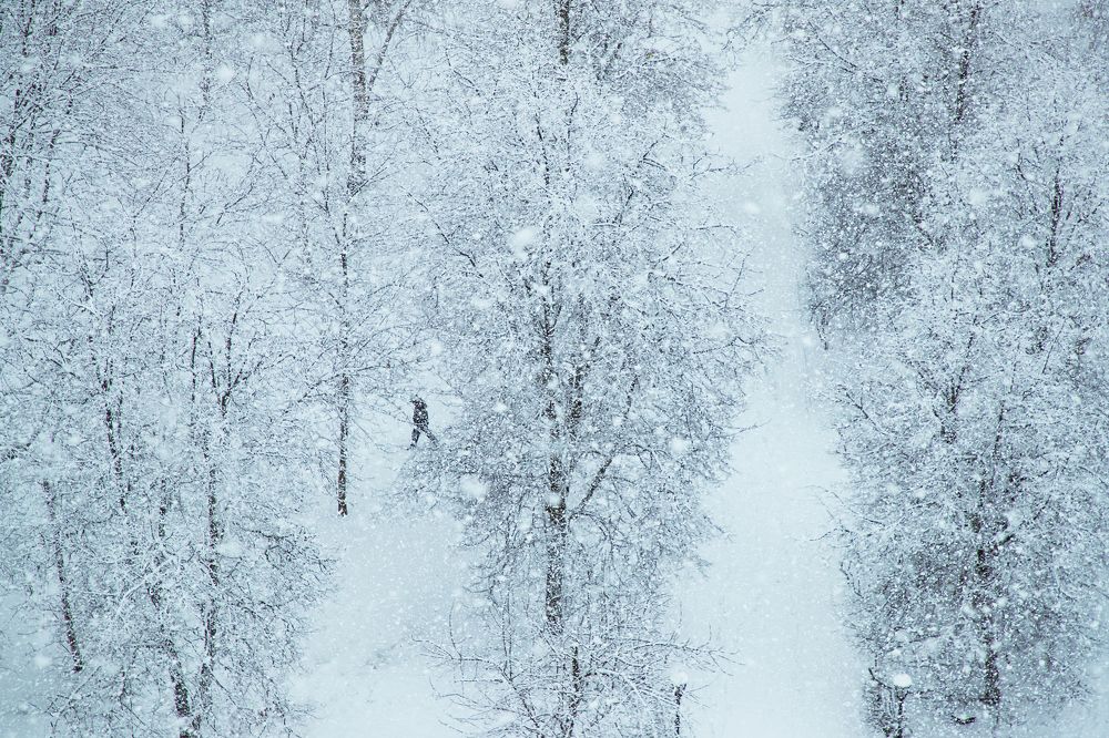 Прогулка по парку в снегопад.