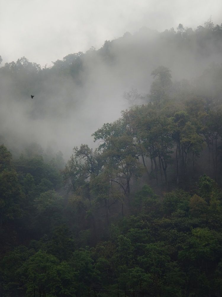 Photograph by Mainak Mondal