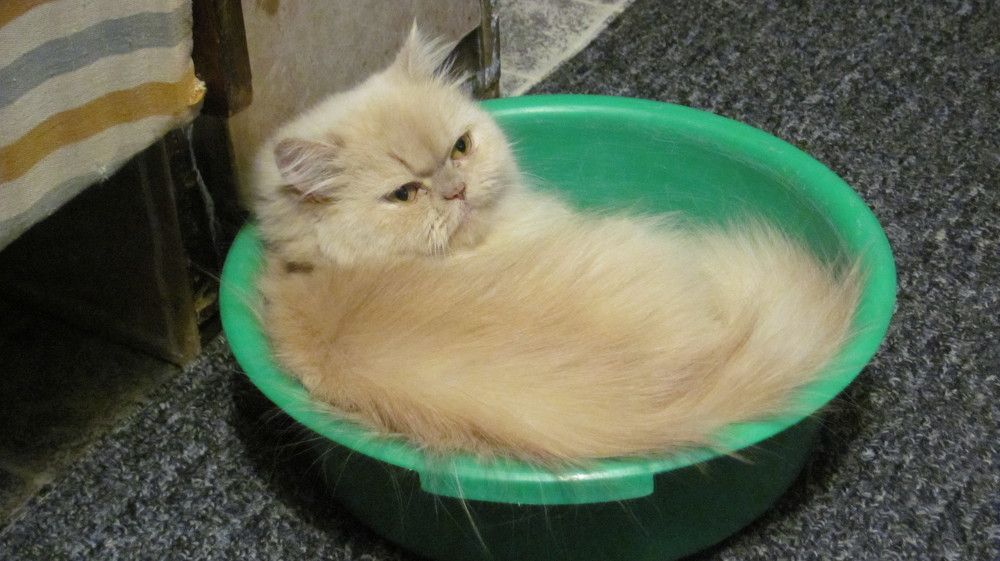 Photograph by Аlessandro