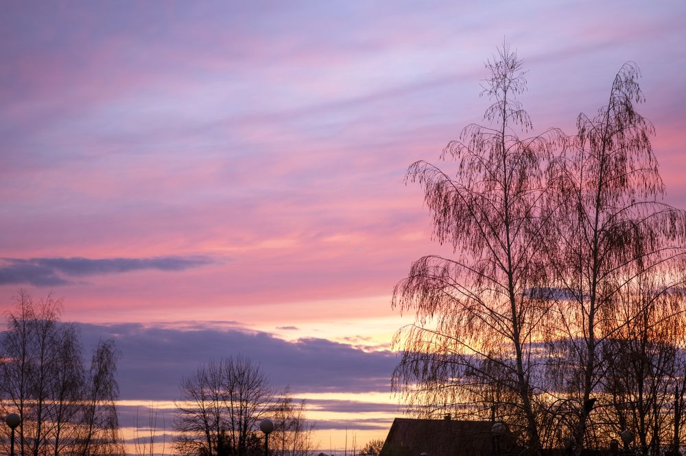 Photograph by Михаил Серебренников