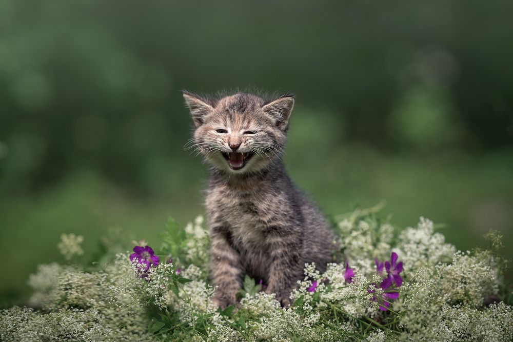 Photograph by Наталия Иванова