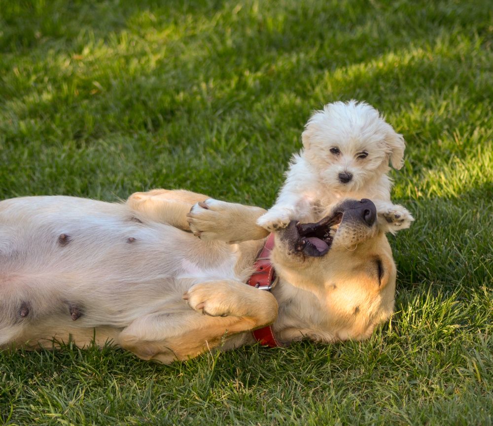 Фотография автора Stefan Alfred