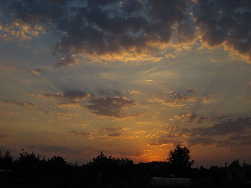 Photograph by Алексей Резниченко