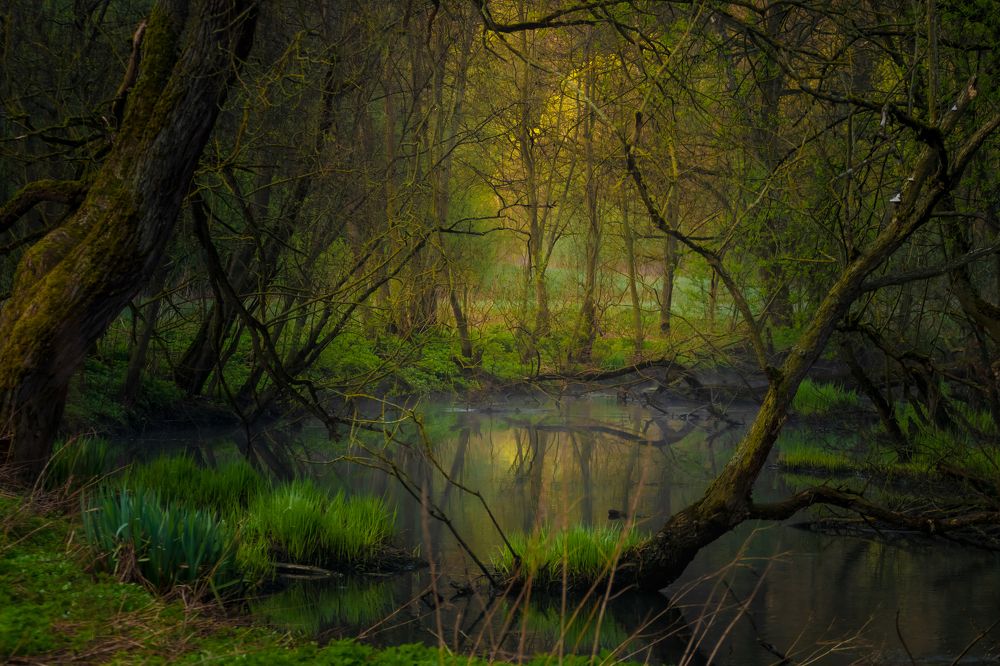 Photograph by Александр Симонов