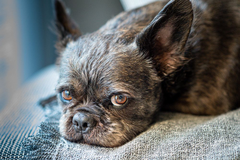 Photograph by Сергей Нагель-Синегубов