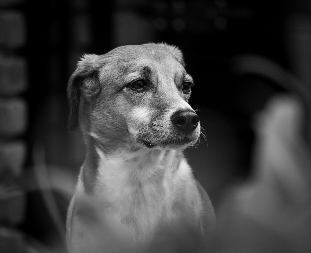 Фотография автора Claudia Luna