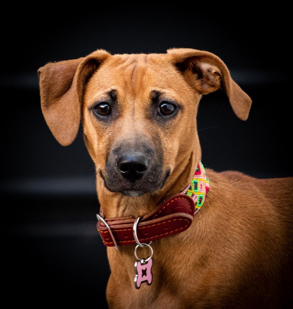 Фотография автора Claudia Luna