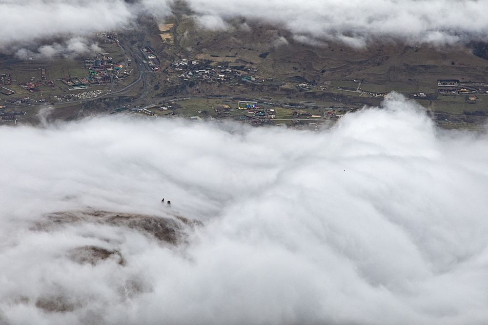 Глазами птиц