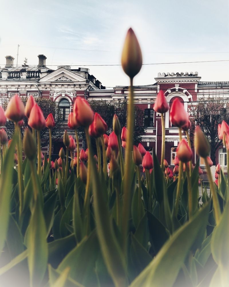 Photograph by Ольга Синева