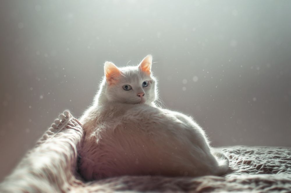 Photograph by Svoboda Andreeva