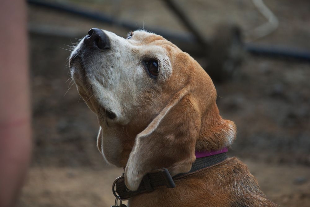 Photograph by Лев Постнов