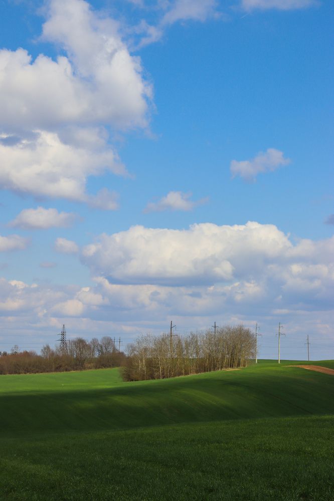 Зелёные холмы пшеницы под облаками.