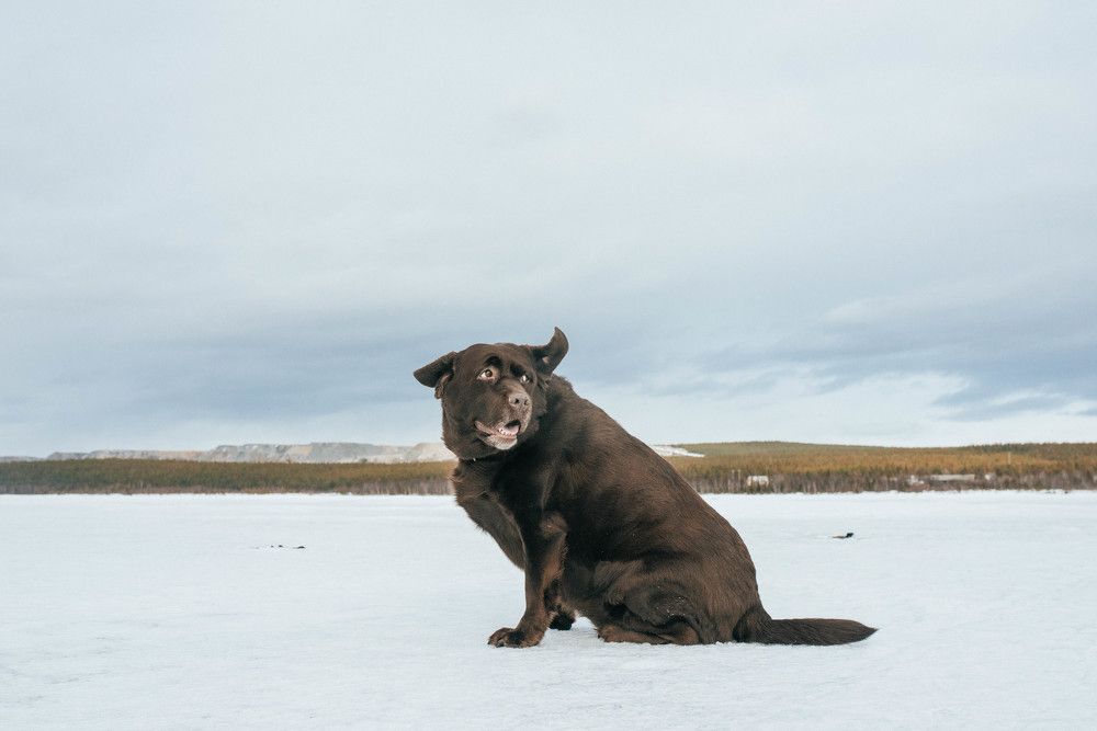 Photograph by Тень Таня