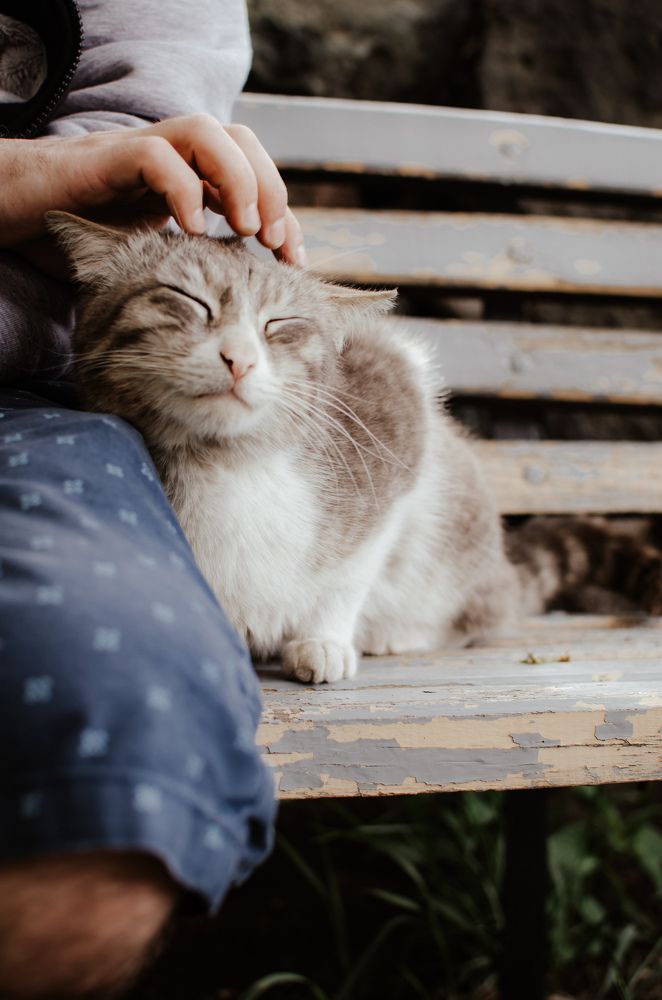 Photograph by Ксения Денисова
